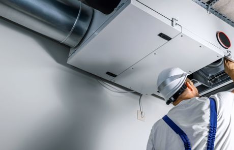 Adobestock 481835240 Bäst För Visning (1)