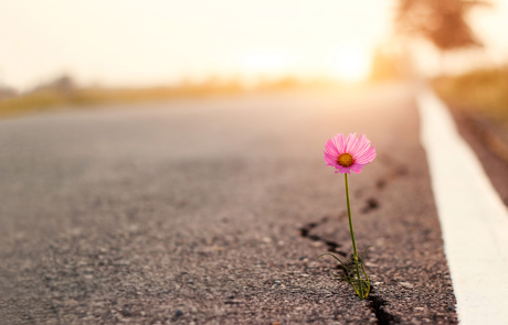 Adobestock 323830127
