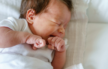 Adobestock 427556949 Neonatalvård