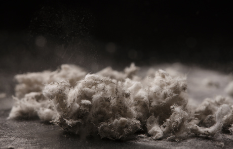 Adobestock 34111206 Mindre