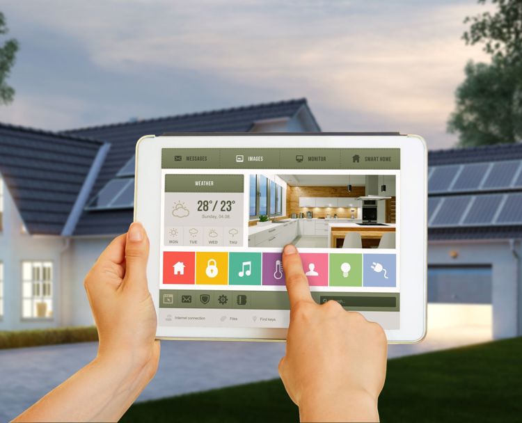 Adobestock 212081612 (1) Bäst För Visn