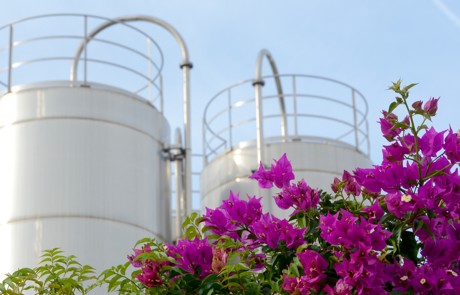 Adobestock 121021314 Beskuren Cisterner Med Blommor