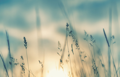 Adobestock 357854155