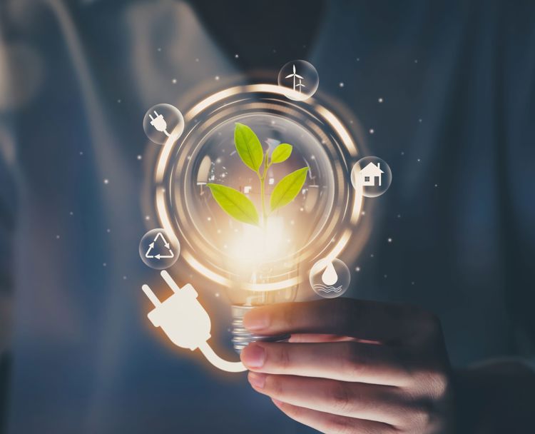 Adobestock 434026070 Hemsida