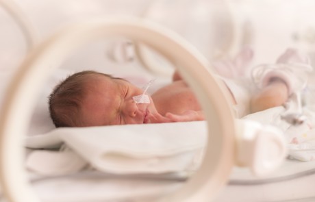 Adobestock 106379455 Neo Beskuren