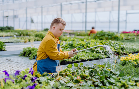 Adobestock 509154135